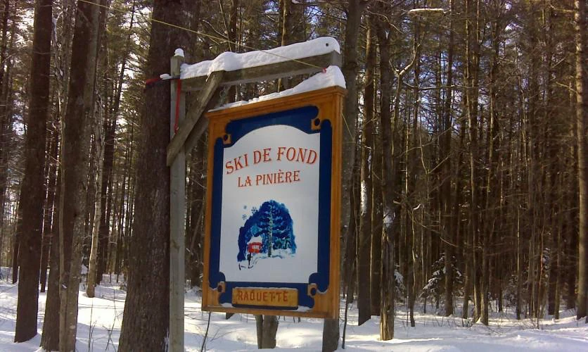Panneau ski de fond La Pinière en forêt neigeuse.