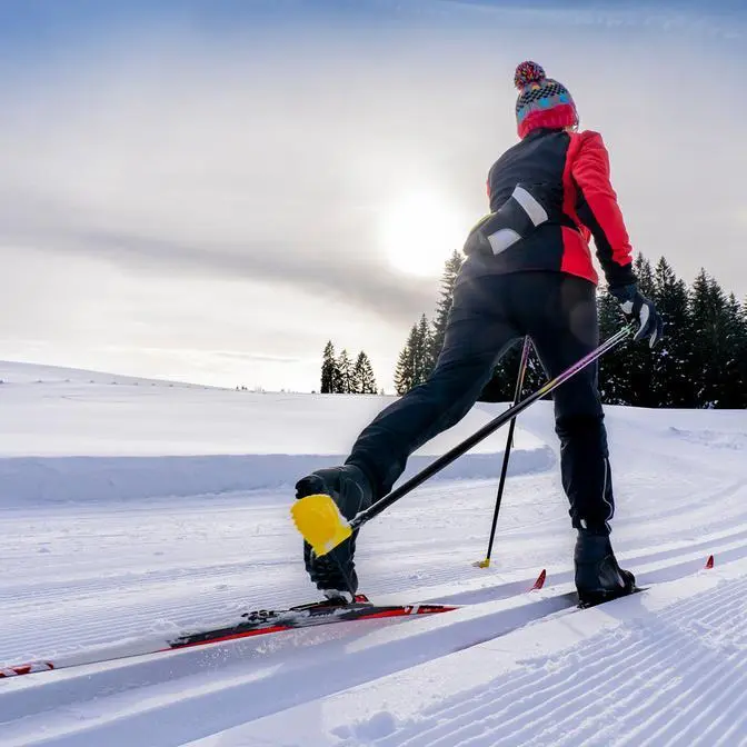 Skieur de fond en action sur piste enneigée