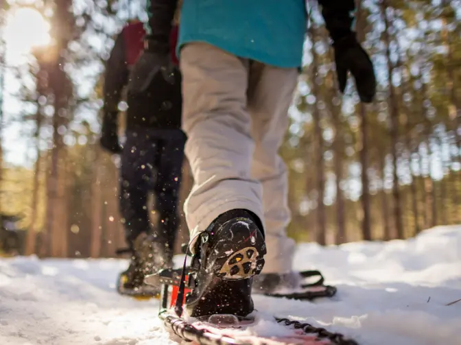 Randonnée en raquettes dans la forêt enneigée.