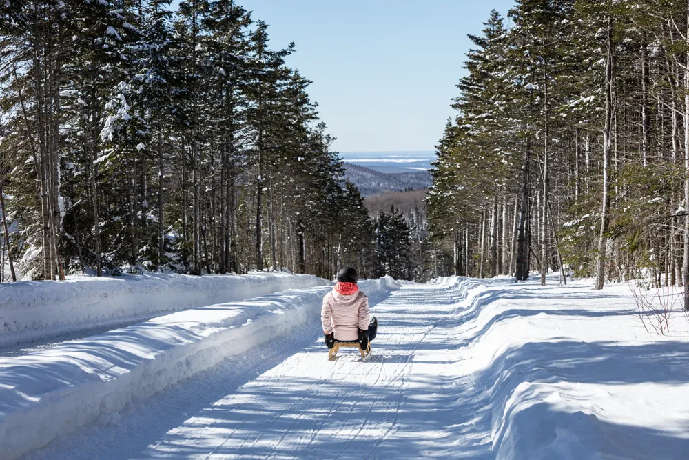 Descente en luge autrichienne