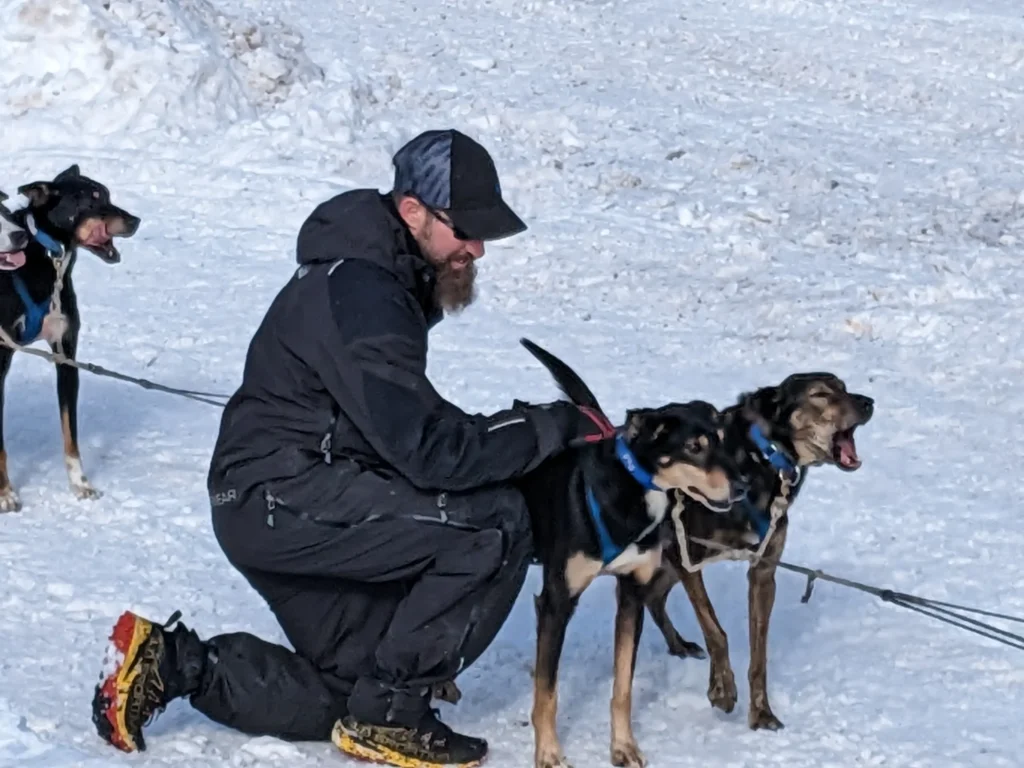 Homme préparant un attelage de chiens dans la neige.