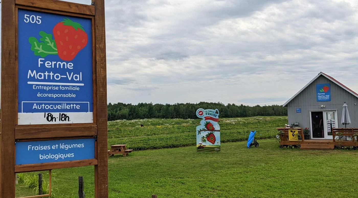 Ferme Matto-Val, autocueillette fraises, légumes biologiques