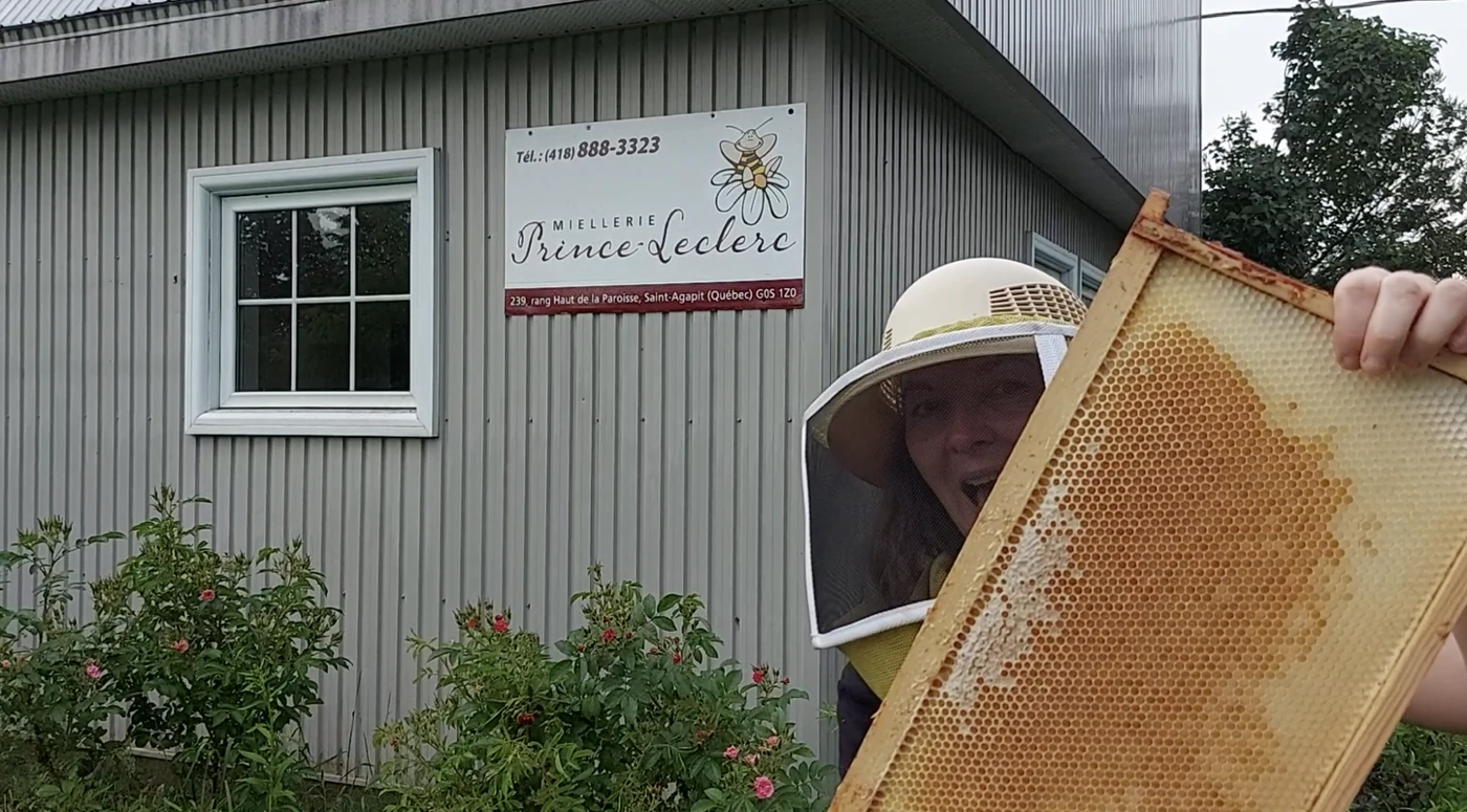 Apiculteur avec un cadre de miel devant miellerie.