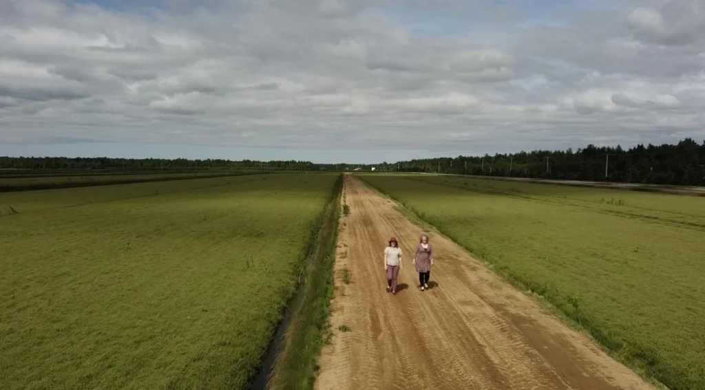 Deux personnes marchant sur un chemin rural