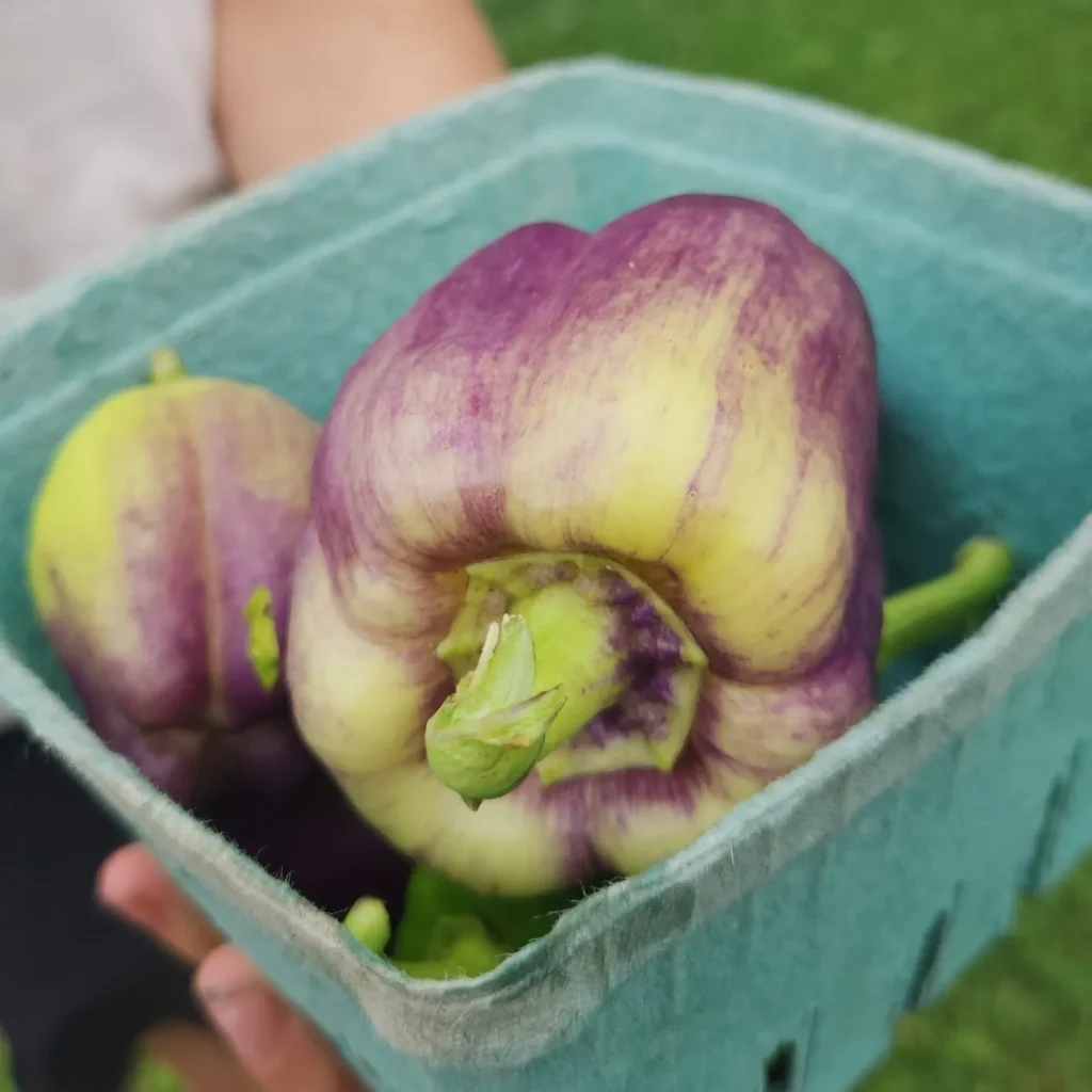 Marché fermier de la Pelle du Vrac