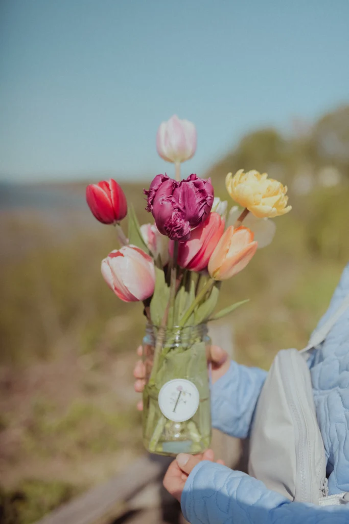 Fleuraissance, ferme florale