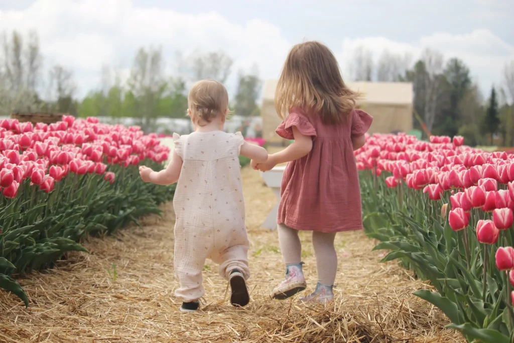 Tulipes d'Élodie (autocueillette de tulipes)