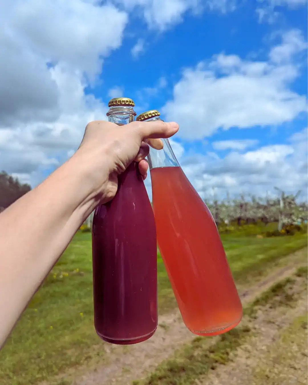 Deux bouteilles colorées dans un paysage champêtre.