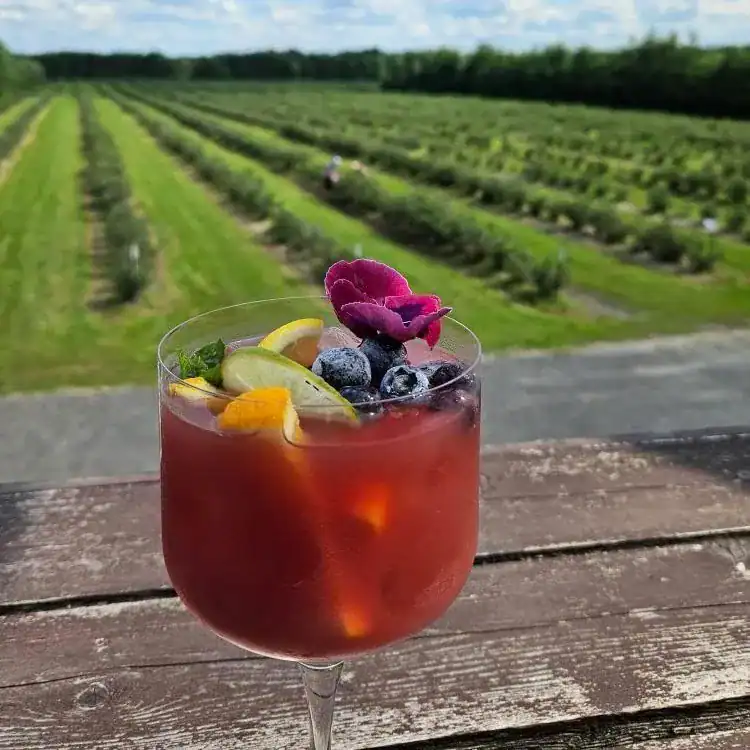 Cocktail fruité devant champ verdoyant.