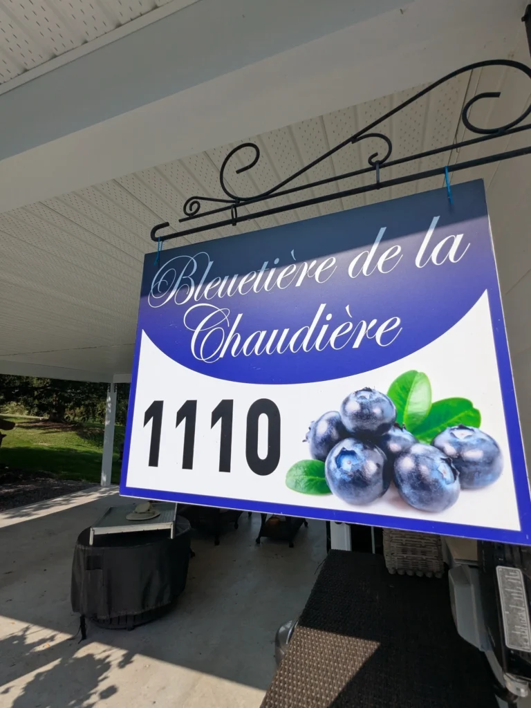 Enseigne blueberry 1110, bleuet design