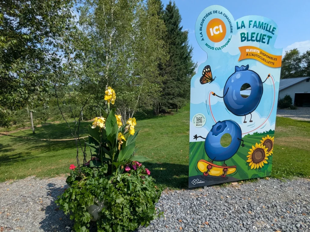 Panneau familial bleuets avec fleurs jaunes.