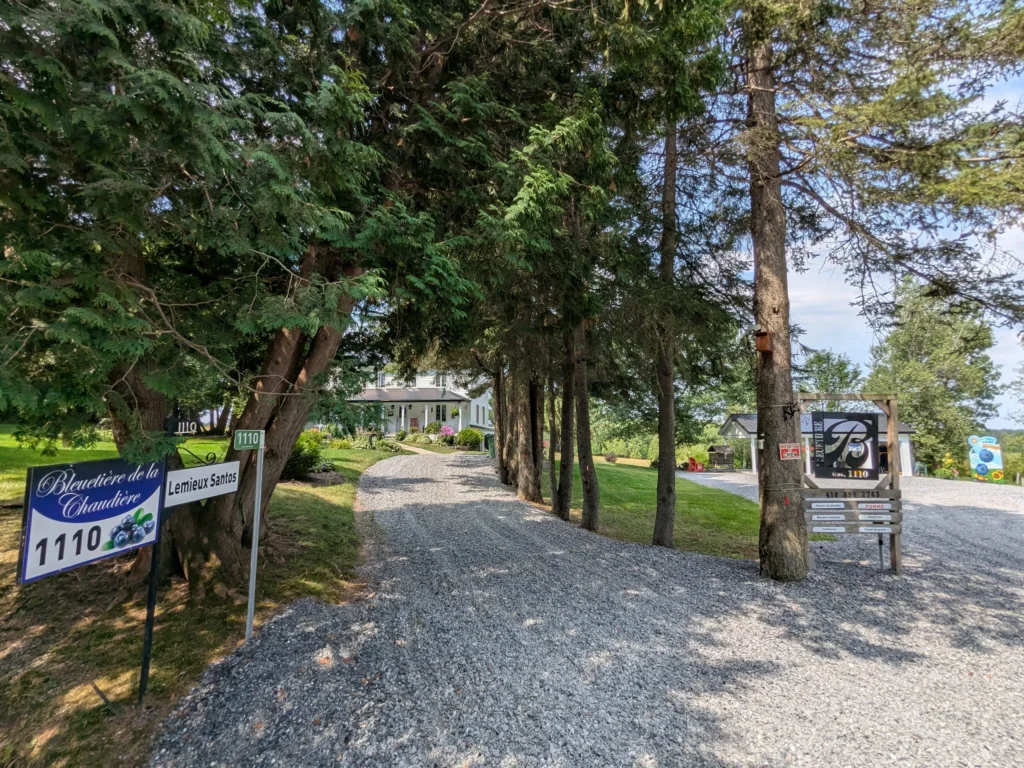 Chemin gravillonné menant à une maison entourée d'arbres.