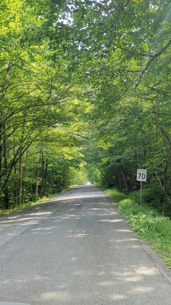 Route bordée d'arbres avec panneau vitesse 70 km/h.