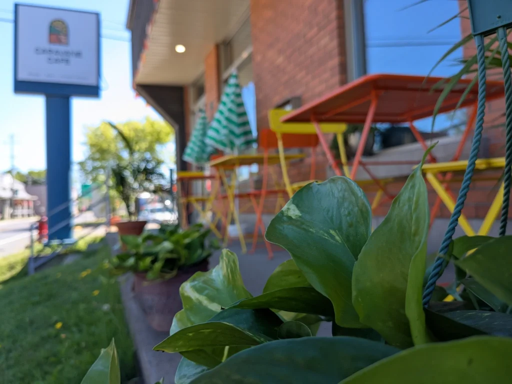 Terrasse de café colorée avec plantes vertes.