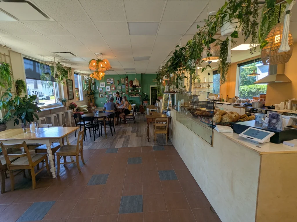 Intérieur lumineux d'un café avec plantes suspendues.