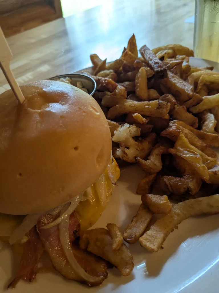 Burger avec frites sur assiette blanche.