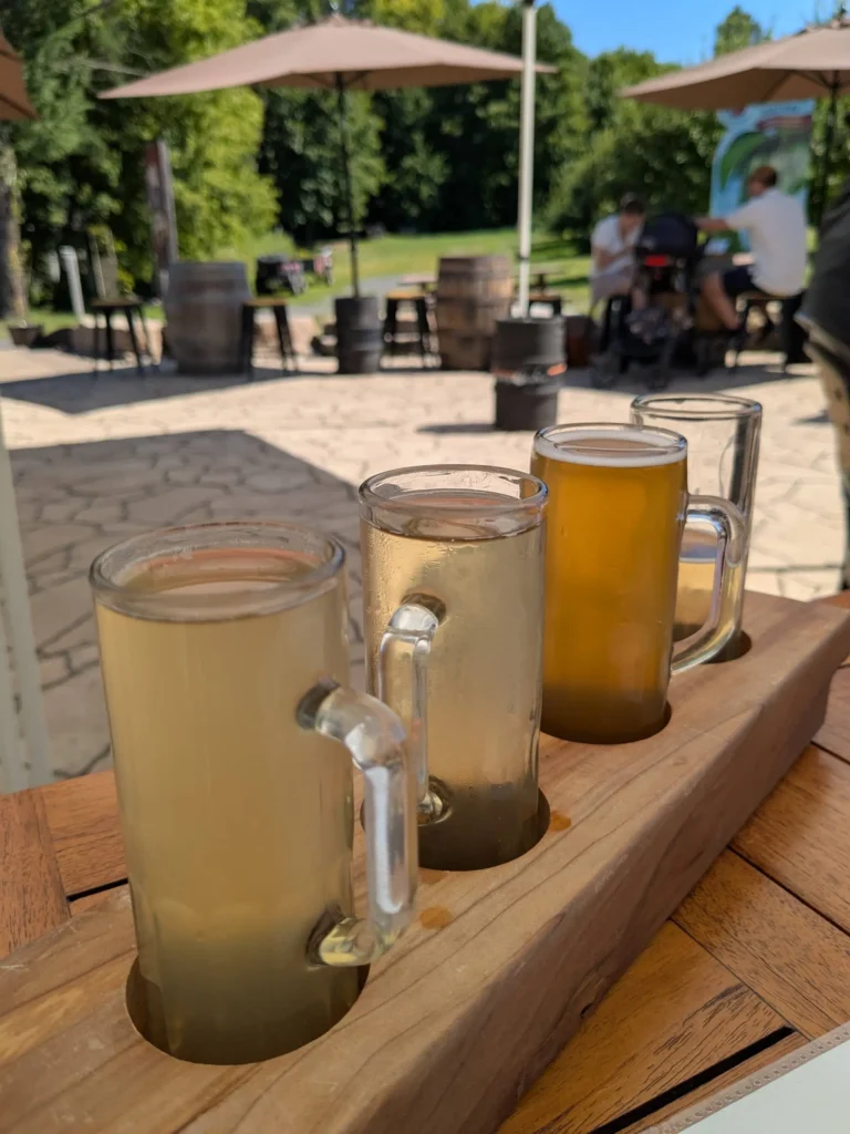 Trois verres de bière en terrasse ensoleillée.