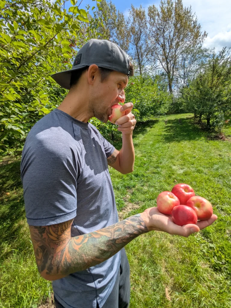 Homme mange une pomme dans un verger.