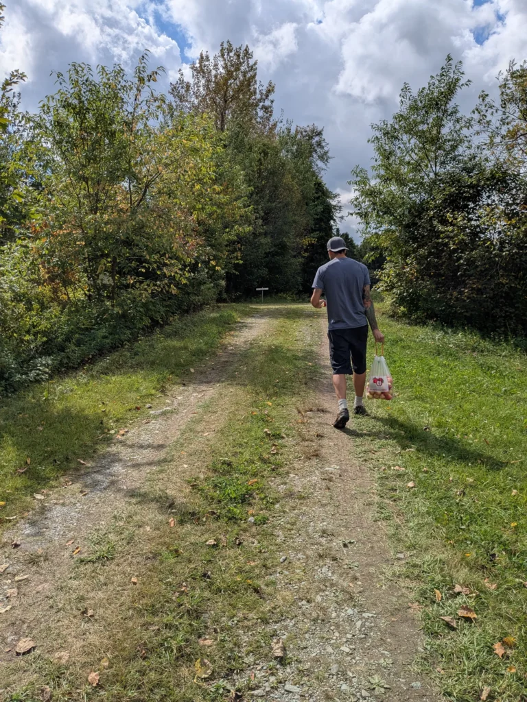 Personne marchant sur un chemin entouré d'arbres.