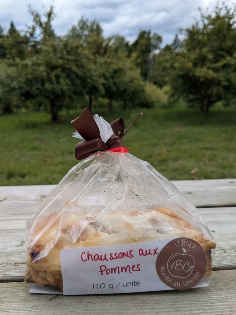 Chaussons aux pommes dans un verger.