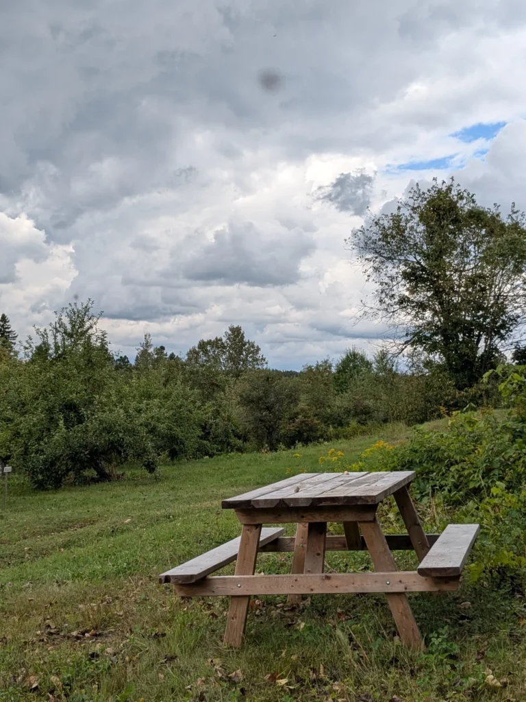 Table de pique-nique en bois sous ciel nuageux.
