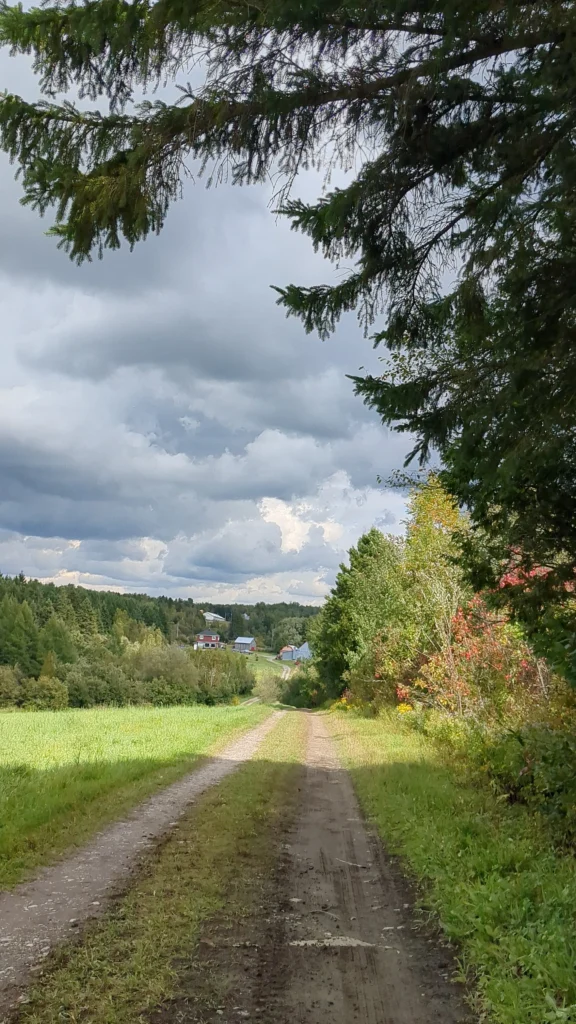 Chemin de campagne bordé d'arbres, ciel nuageux.