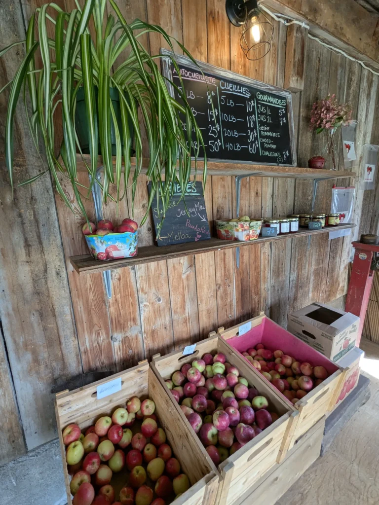 Marché avec pommes et tableau de prix.