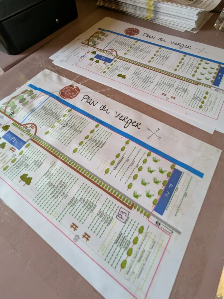 Plans d'un verger sur table en bois.