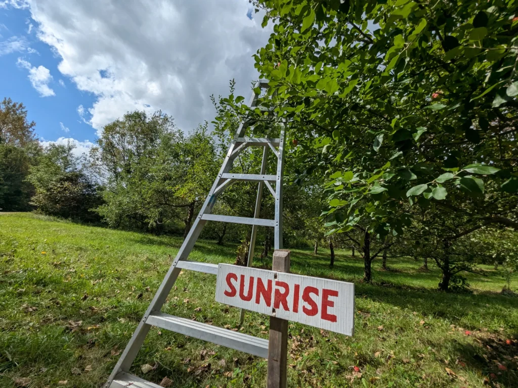 Région de Lotbinière,Région Lotbinière,Verger,Autocueillette de pommes,Quoi faire,Activité en famille,Couleurs d'automne,Tourisme gourmand