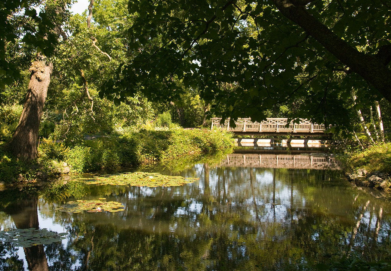 Pont en bois sur un étang paisible